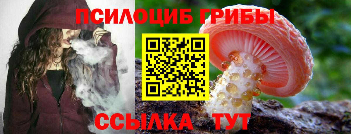 Галлюциногенные грибы Psilocybe  Вход с VPN  Воронеж 